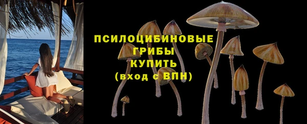 ALPHA-PVP Дмитров