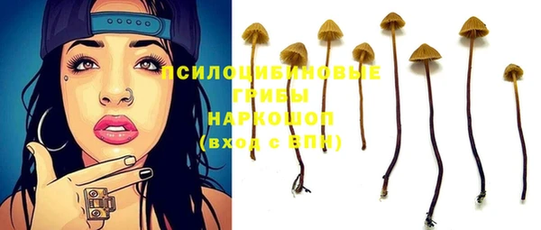 дмт Дмитриев