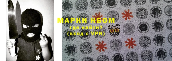 2c-b Горнозаводск
