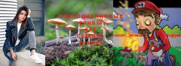 2c-b Горнозаводск