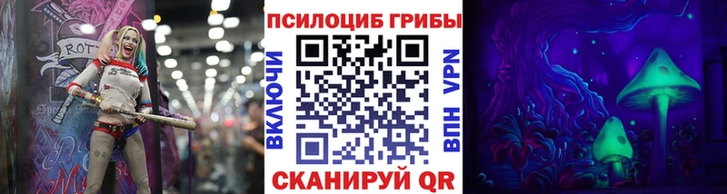 Галлюциногенные грибы Psilocybine cubensis  Рубцовск 